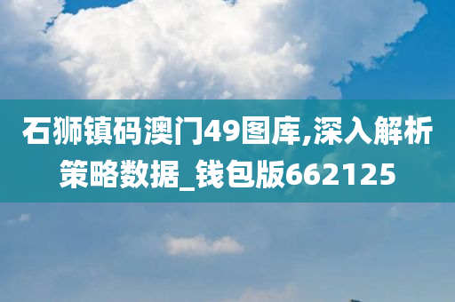 石狮镇码澳门49图库,深入解析策略数据_钱包版662125