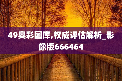 49奥彩图库,权威评估解析_影像版666464