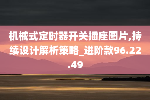 机械式定时器开关插座图片,持续设计解析策略_进阶款96.22.49