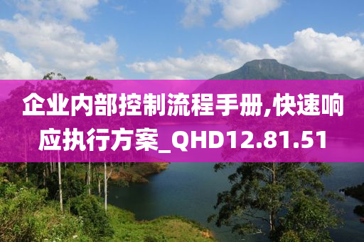 企业内部控制流程手册,快速响应执行方案_QHD12.81.51