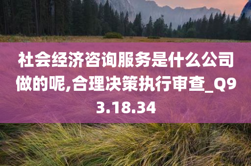 社会经济咨询服务是什么公司做的呢,合理决策执行审查_Q93.18.34