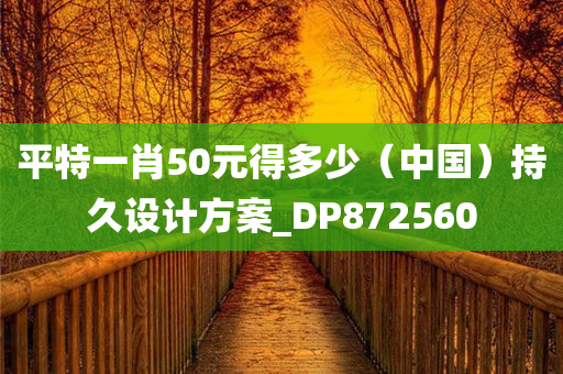 平特一肖50元得多少（中国）持久设计方案_DP872560