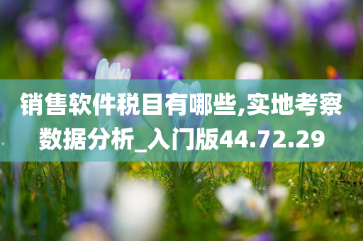 销售软件税目有哪些,实地考察数据分析_入门版44.72.29