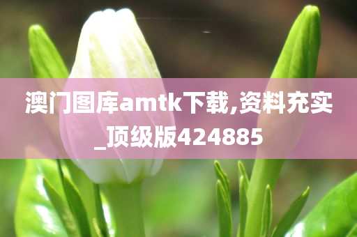 澳门图库amtk下载,资料充实_顶级版424885