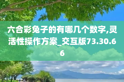 六合彩兔子的有哪几个数字,灵活性操作方案_交互版73.30.66