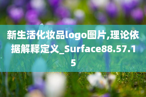 新生活化妆品logo图片,理论依据解释定义_Surface88.57.15