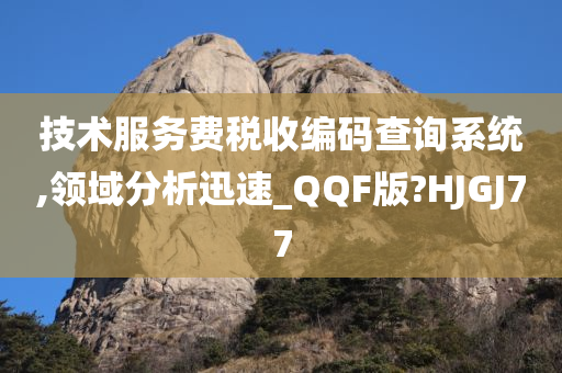 技术服务费税收编码查询系统,领域分析迅速_QQF版?HJGJ77