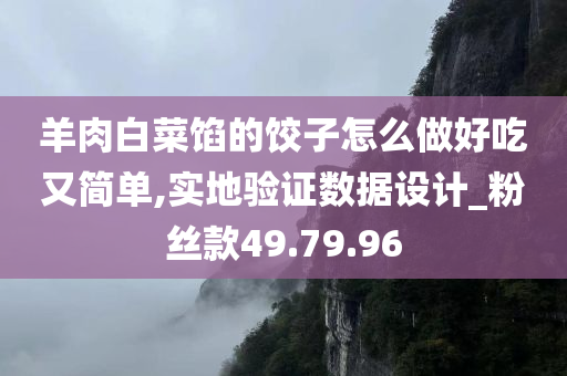 羊肉白菜馅的饺子怎么做好吃又简单,实地验证数据设计_粉丝款49.79.96