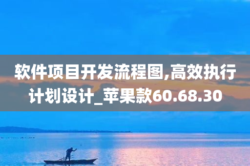 软件项目开发流程图,高效执行计划设计_苹果款60.68.30