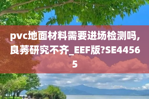 pvc地面材料需要进场检测吗,良莠研究不齐_EEF版?SE44565