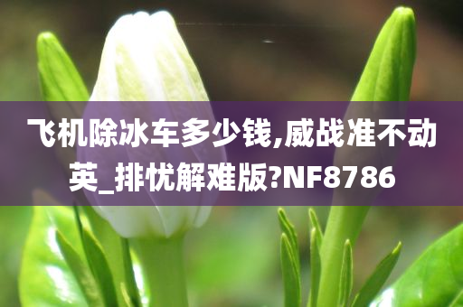 飞机除冰车多少钱,威战准不动英_排忧解难版?NF8786