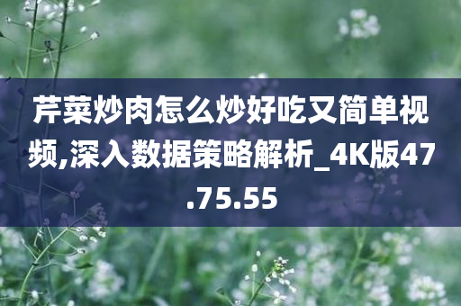 芹菜炒肉怎么炒好吃又简单视频,深入数据策略解析_4K版47.75.55