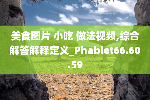 美食图片 小吃 做法视频,综合解答解释定义_Phablet66.60.59