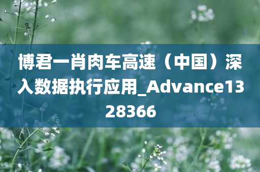 博君一肖肉车高速（中国）深入数据执行应用_Advance1328366