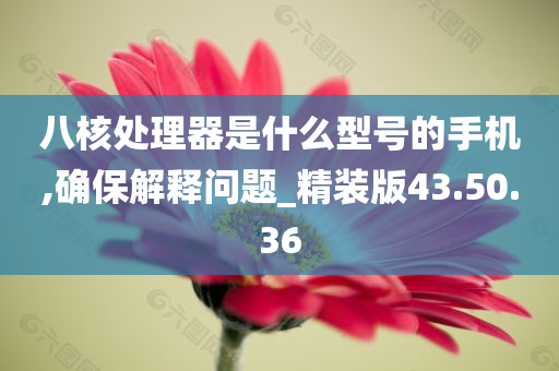 八核处理器是什么型号的手机,确保解释问题_精装版43.50.36