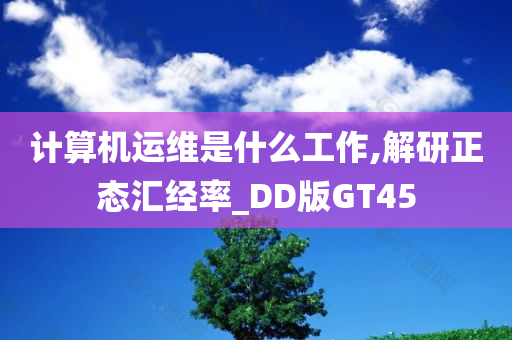 计算机运维是什么工作,解研正态汇经率_DD版GT45