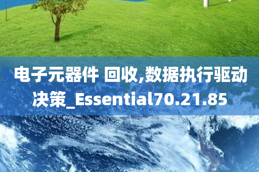 电子元器件 回收,数据执行驱动决策_Essential70.21.85