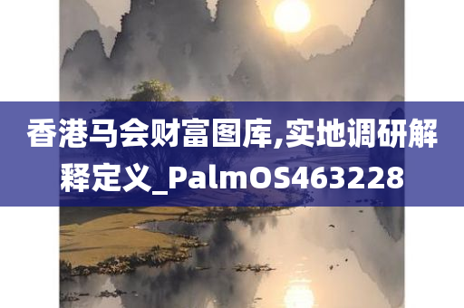 香港马会财富图库,实地调研解释定义_PalmOS463228