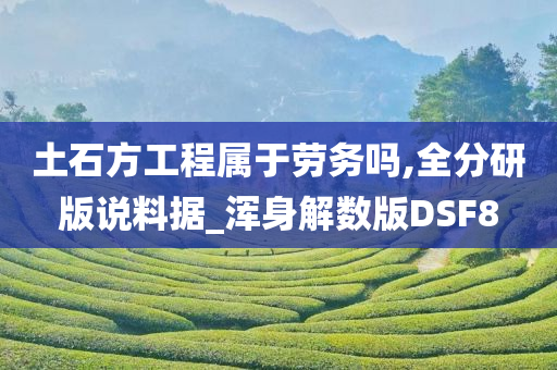 土石方工程属于劳务吗,全分研版说料据_浑身解数版DSF8