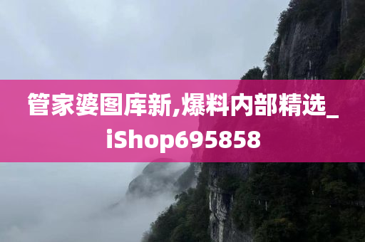 管家婆图库新,爆料内部精选_iShop695858