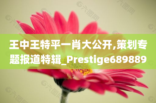 王中王特平一肖大公开,策划专题报道特辑_Prestige689889