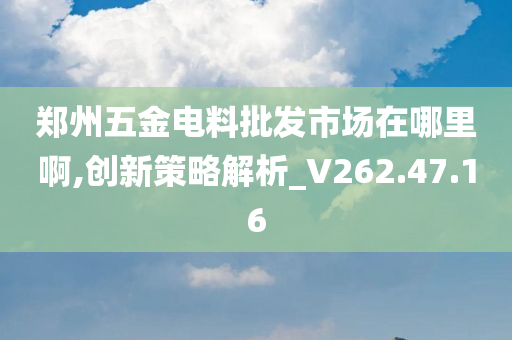 郑州五金电料批发市场在哪里啊,创新策略解析_V262.47.16