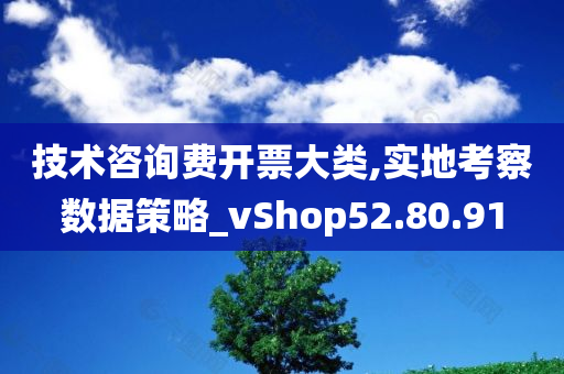 技术咨询费开票大类,实地考察数据策略_vShop52.80.91