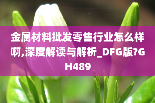 金属材料批发零售行业怎么样啊,深度解读与解析_DFG版?GH489