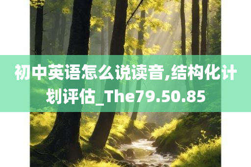 初中英语怎么说读音,结构化计划评估_The79.50.85