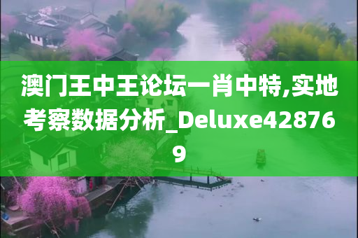 澳门王中王论坛一肖中特,实地考察数据分析_Deluxe428769