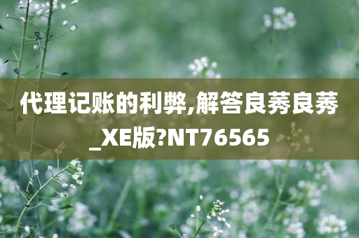 代理记账的利弊,解答良莠良莠_XE版?NT76565