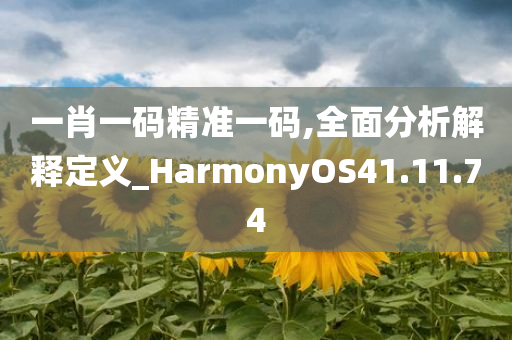 一肖一码精准一码,全面分析解释定义_HarmonyOS41.11.74