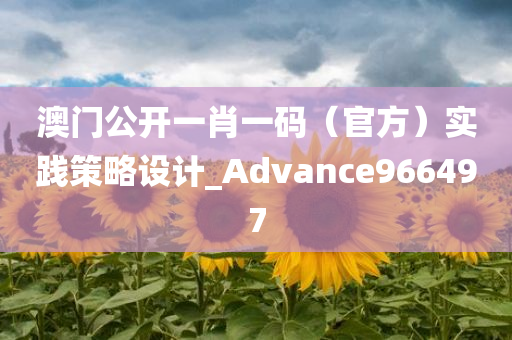 澳门公开一肖一码（官方）实践策略设计_Advance966497