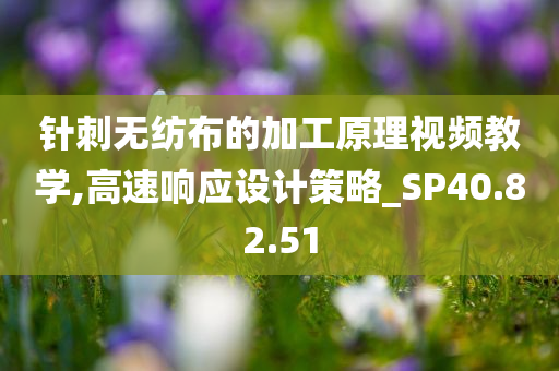 针刺无纺布的加工原理视频教学,高速响应设计策略_SP40.82.51