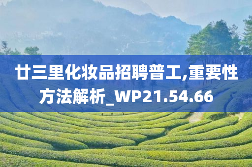 廿三里化妆品招聘普工,重要性方法解析_WP21.54.66