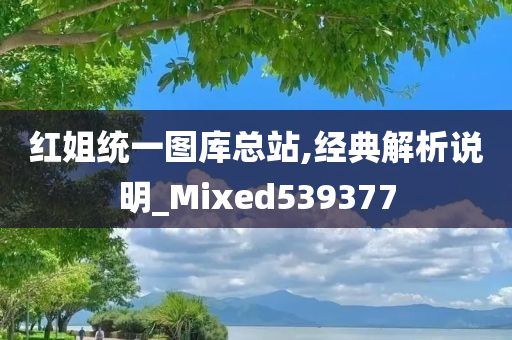 红姐统一图库总站,经典解析说明_Mixed539377