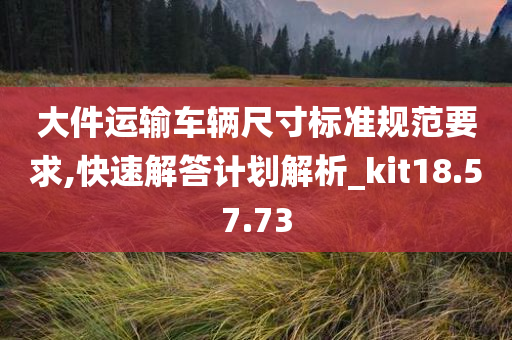 大件运输车辆尺寸标准规范要求,快速解答计划解析_kit18.57.73