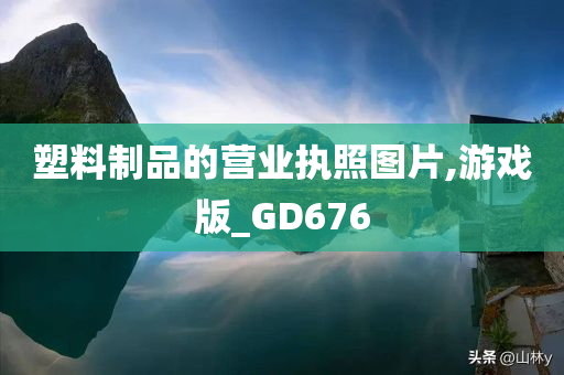 塑料制品的营业执照图片,游戏版_GD676