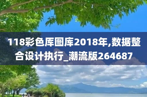 118彩色厍图库2018年,数据整合设计执行_潮流版264687