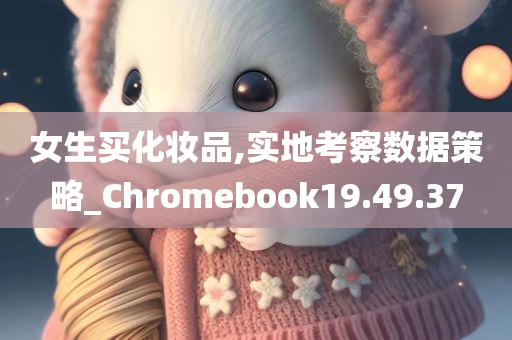 女生买化妆品,实地考察数据策略_Chromebook19.49.37