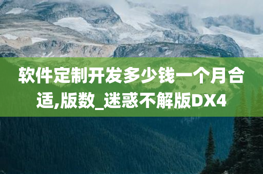 软件定制开发多少钱一个月合适,版数_迷惑不解版DX4