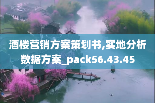 酒楼营销方案策划书,实地分析数据方案_pack56.43.45