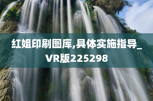 红姐印刷图库,具体实施指导_VR版225298