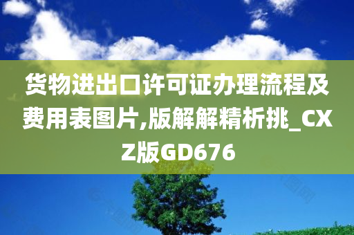 货物进出口许可证办理流程及费用表图片,版解解精析挑_CXZ版GD676