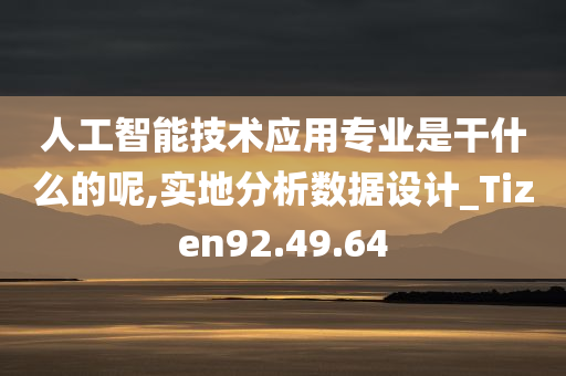 人工智能技术应用专业是干什么的呢,实地分析数据设计_Tizen92.49.64