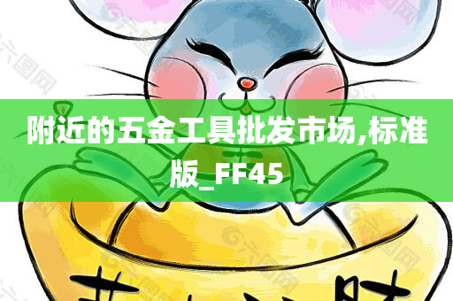 附近的五金工具批发市场,标准版_FF45