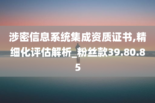 涉密信息系统集成资质证书,精细化评估解析_粉丝款39.80.85