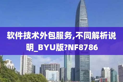 软件技术外包服务,不同解析说明_BYU版?NF8786