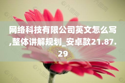 网络科技有限公司英文怎么写,整体讲解规划_安卓款21.87.29