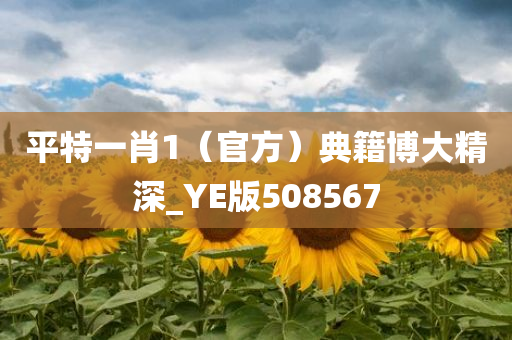 平特一肖1（官方）典籍博大精深_YE版508567